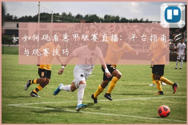 如何观看意甲联赛直播：平台指南与观赛技巧