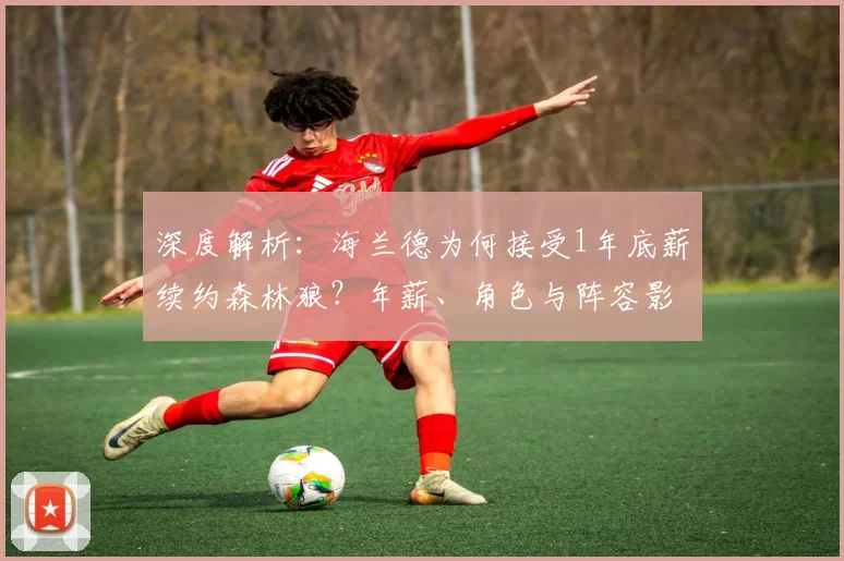 深度解析:海兰德为何接受1年底薪续约森林狼?年薪、角色与阵容影响全分析