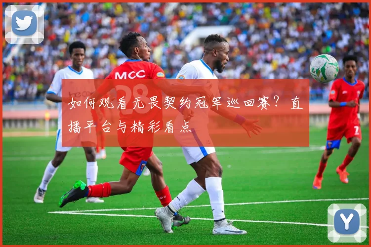 如何观看无畏契约冠军巡回赛？直播平台与精彩看点
