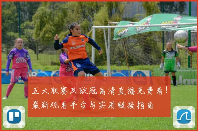 五大联赛及欧冠高清直播免费看！最新观看平台与实用链接指南